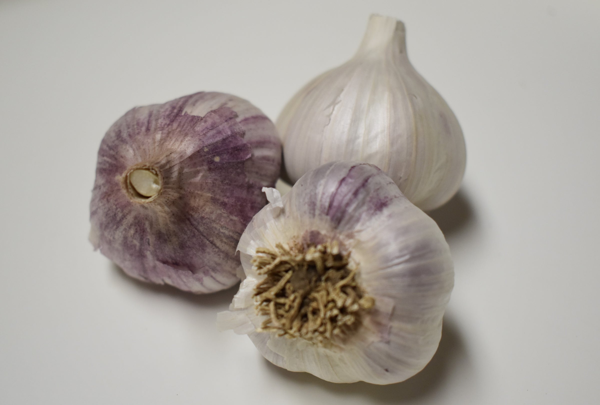 Pyong 2 Pyong Yang Natural Organic Garlic | Door County Garlic | Seed Garlic ...