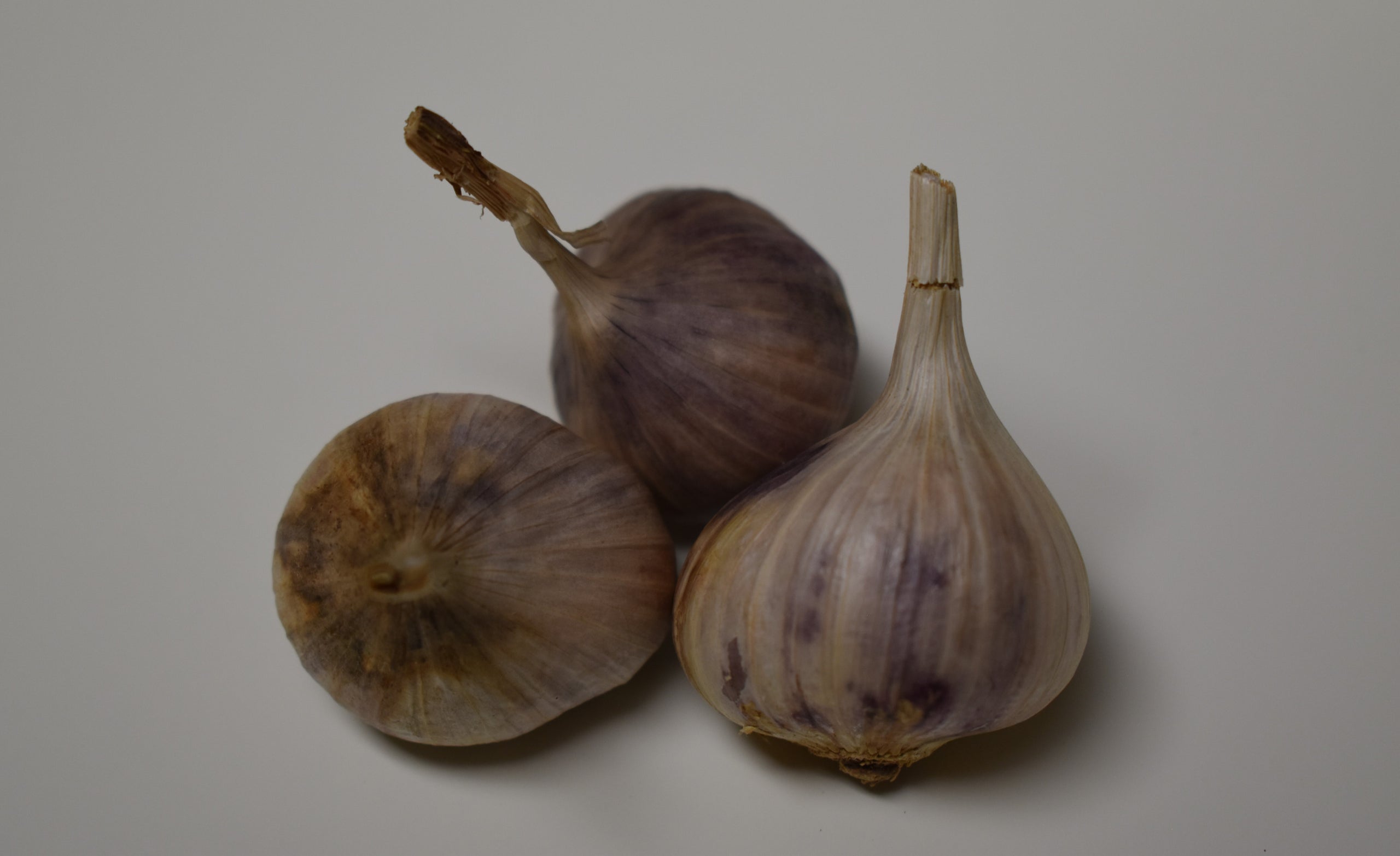 Ail De Pays Parne Natural Organic Garlic Door County Garlic Seed 